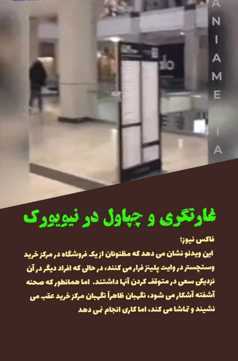 غارتگری و چپاول در نیویورک