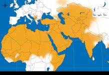 تلاش 57 رهبر عربی و اسلامی برای اجماع