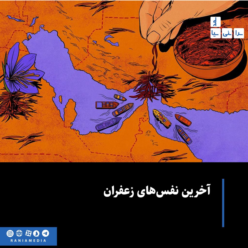آخرین نفس‌های زعفران