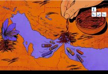 آخرین نفسهای زعفران