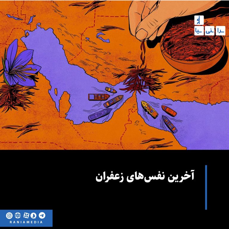 آخرین نفس‌های زعفران